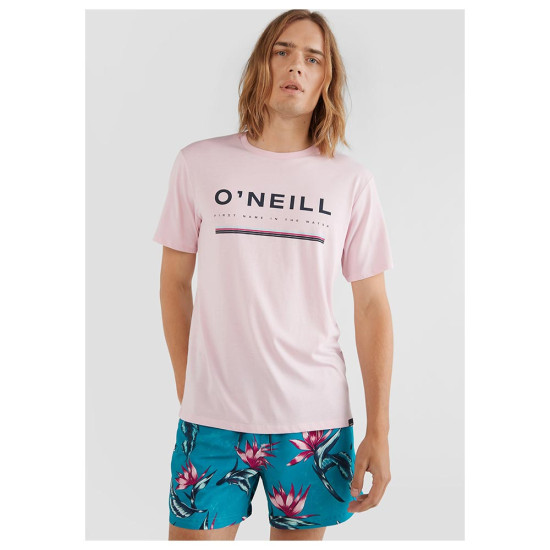 O'neill Ανδρική κοντομάνικη μπλούζα Arrowhead T-Shirt